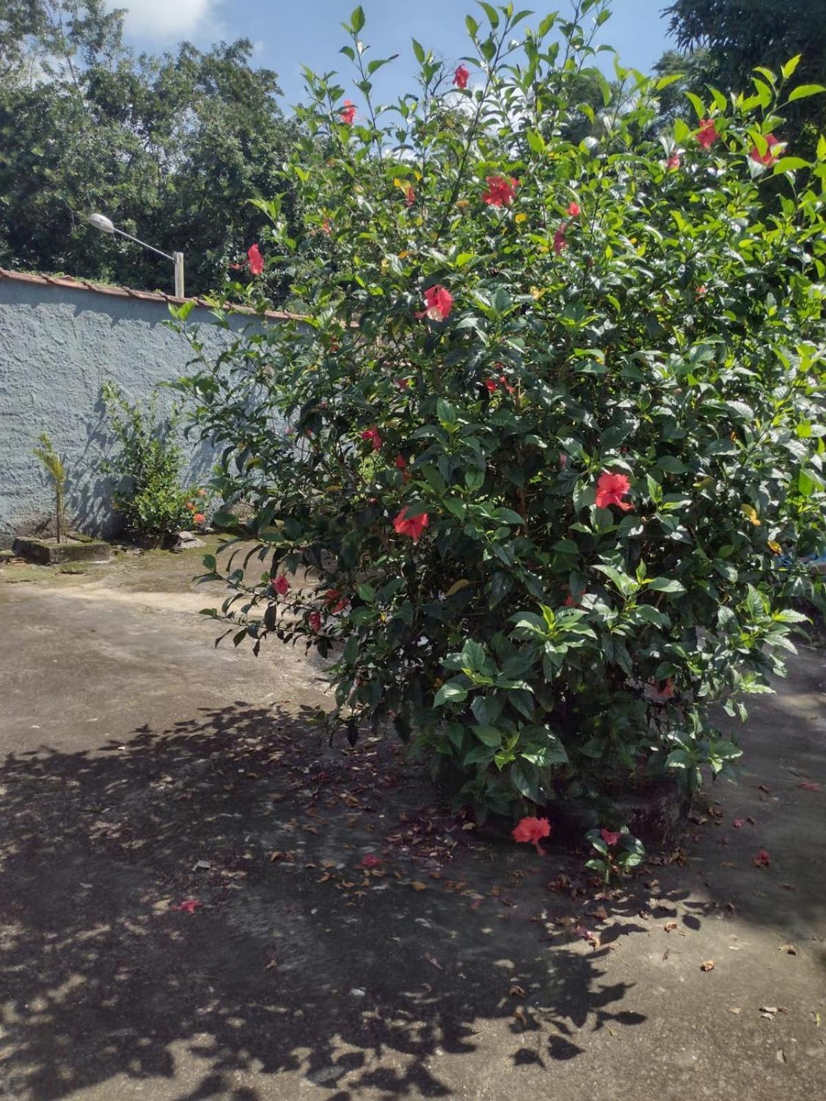 Сasa de vacaciones Rosane's Casa De Temporada Praca Niteroi
